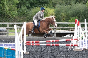 Class 5 - Fences not above 2'6